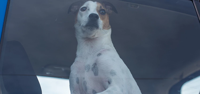 Car Lockout Solutions in Santa Monica, California